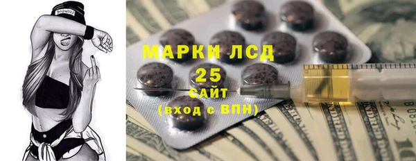 прущие грибы Михайлов