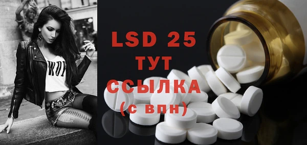 прущие грибы Михайлов