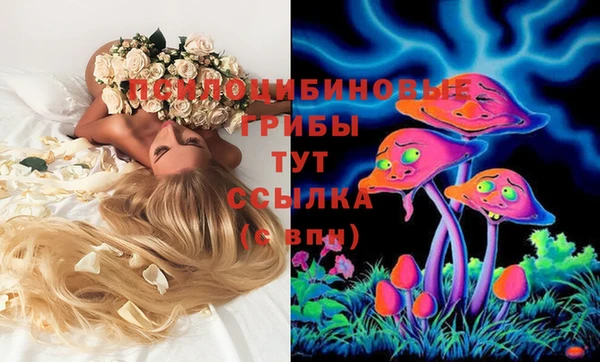 наркотики Михайловка