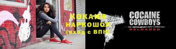 прущие грибы Михайлов