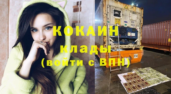прущие грибы Михайлов
