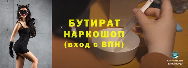 прущие грибы Михайлов