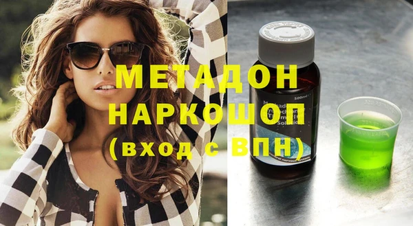 прущие грибы Михайлов