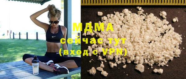 прущие грибы Михайлов