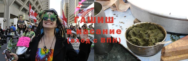 прущие грибы Михайлов