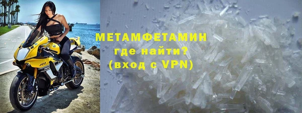 прущие грибы Михайлов
