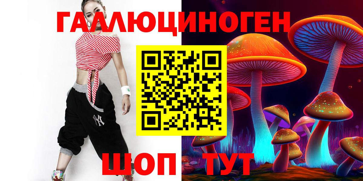 Северодвинск  Галлюциногенные грибы Psilocybe  Вход с VPN 