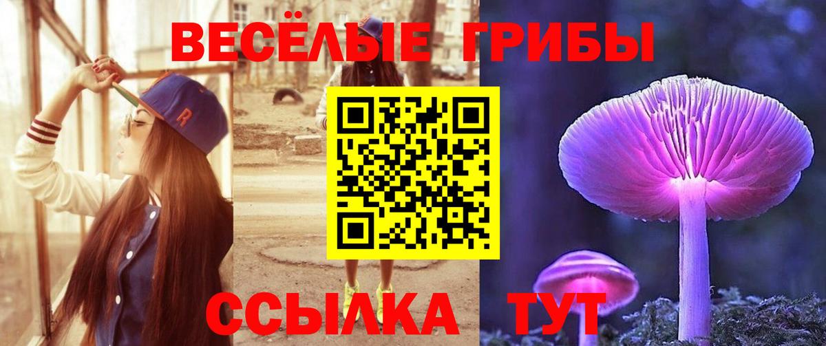 Галлюциногенные грибы мухоморы  Псилоцибиновые грибы ЛСД  Северодвинск 