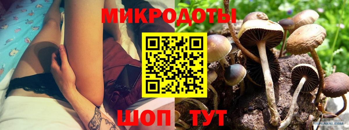Псилоцибиновые грибы ЛСД Северодвинск